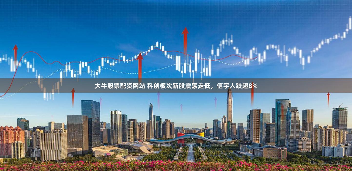 大牛股票配资网站 科创板次新股震荡走低,信宇人跌超8%
